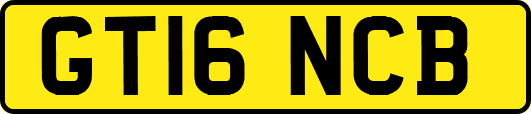GT16NCB