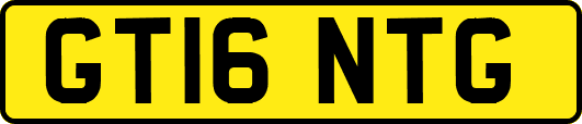 GT16NTG