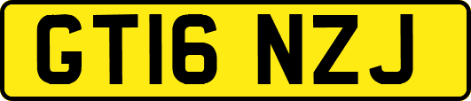 GT16NZJ