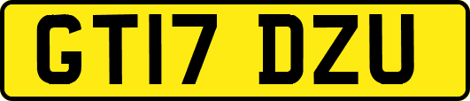 GT17DZU