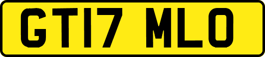 GT17MLO