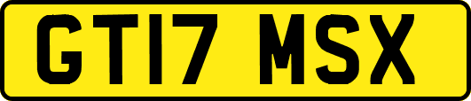 GT17MSX