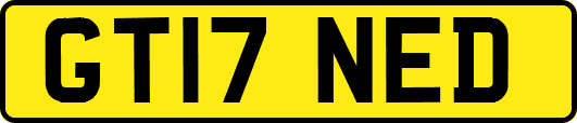 GT17NED