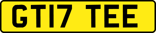 GT17TEE