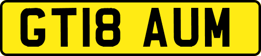 GT18AUM