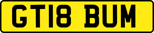 GT18BUM