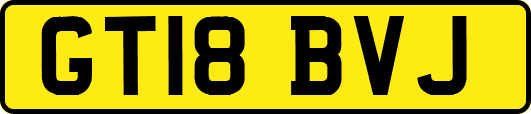 GT18BVJ