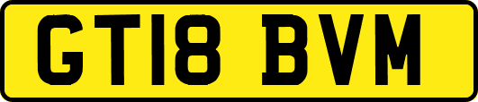 GT18BVM