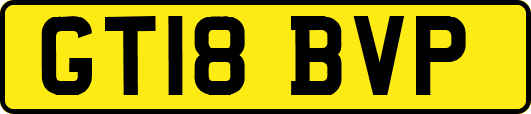 GT18BVP