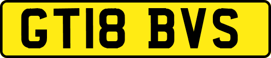 GT18BVS