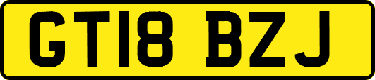 GT18BZJ