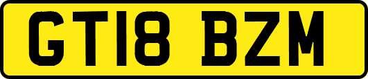 GT18BZM