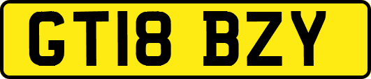 GT18BZY