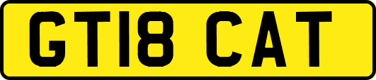 GT18CAT