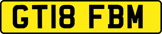 GT18FBM