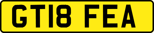 GT18FEA
