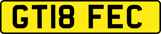 GT18FEC