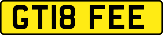 GT18FEE
