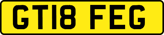 GT18FEG