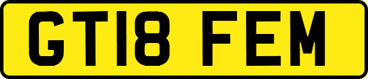 GT18FEM