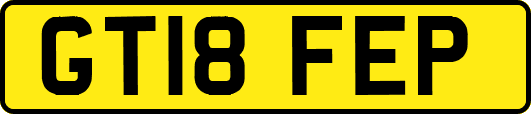 GT18FEP