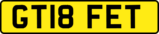 GT18FET