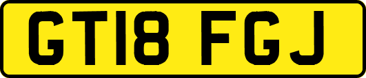GT18FGJ