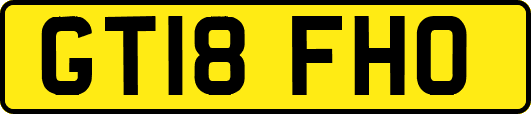 GT18FHO