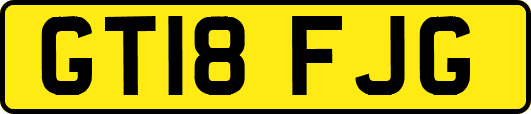 GT18FJG