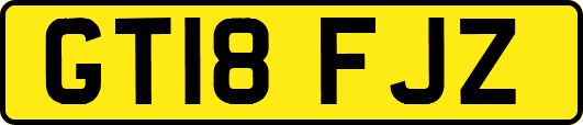 GT18FJZ