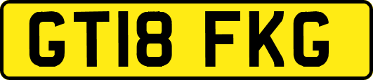 GT18FKG