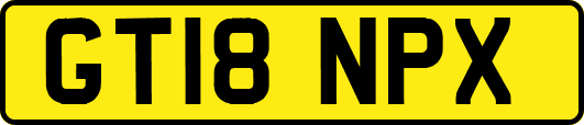 GT18NPX