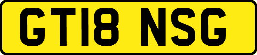 GT18NSG