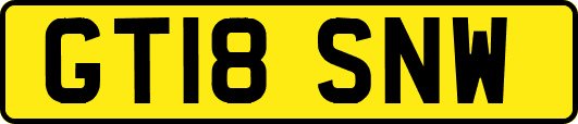 GT18SNW