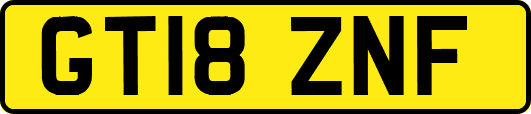 GT18ZNF
