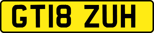 GT18ZUH