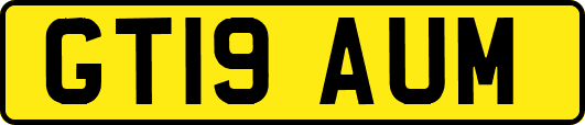 GT19AUM