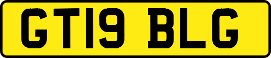 GT19BLG