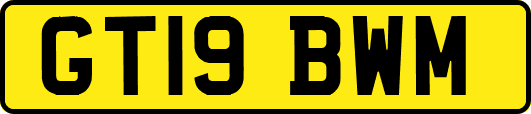 GT19BWM