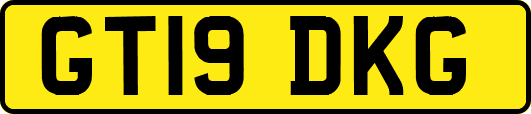 GT19DKG