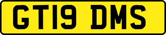 GT19DMS