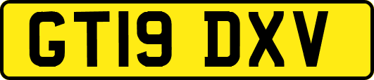 GT19DXV