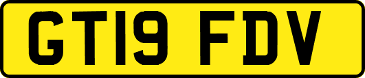 GT19FDV