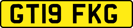 GT19FKG