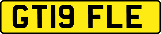 GT19FLE