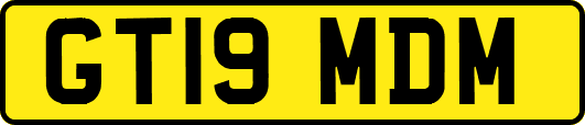 GT19MDM