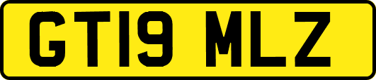 GT19MLZ