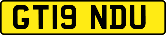 GT19NDU