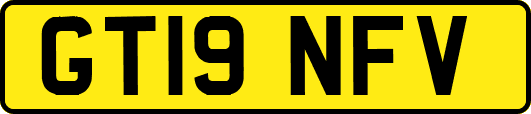 GT19NFV