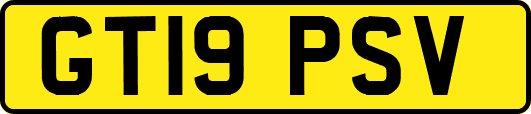 GT19PSV